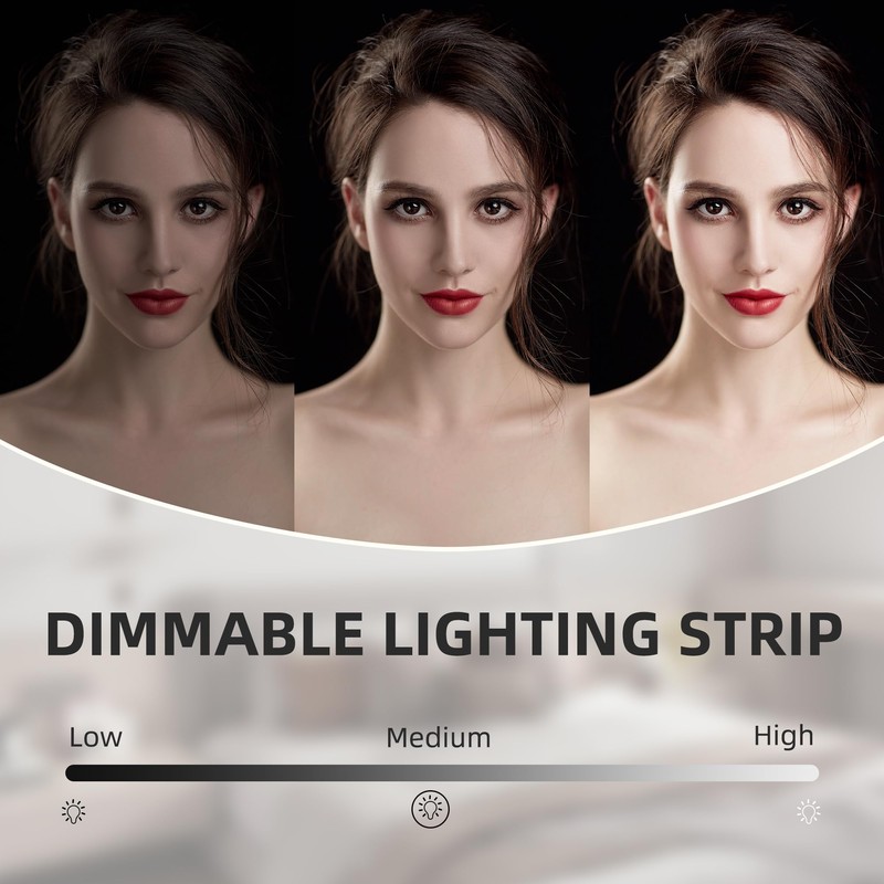 VANITII Makeup Mirror with Light 16"x12"