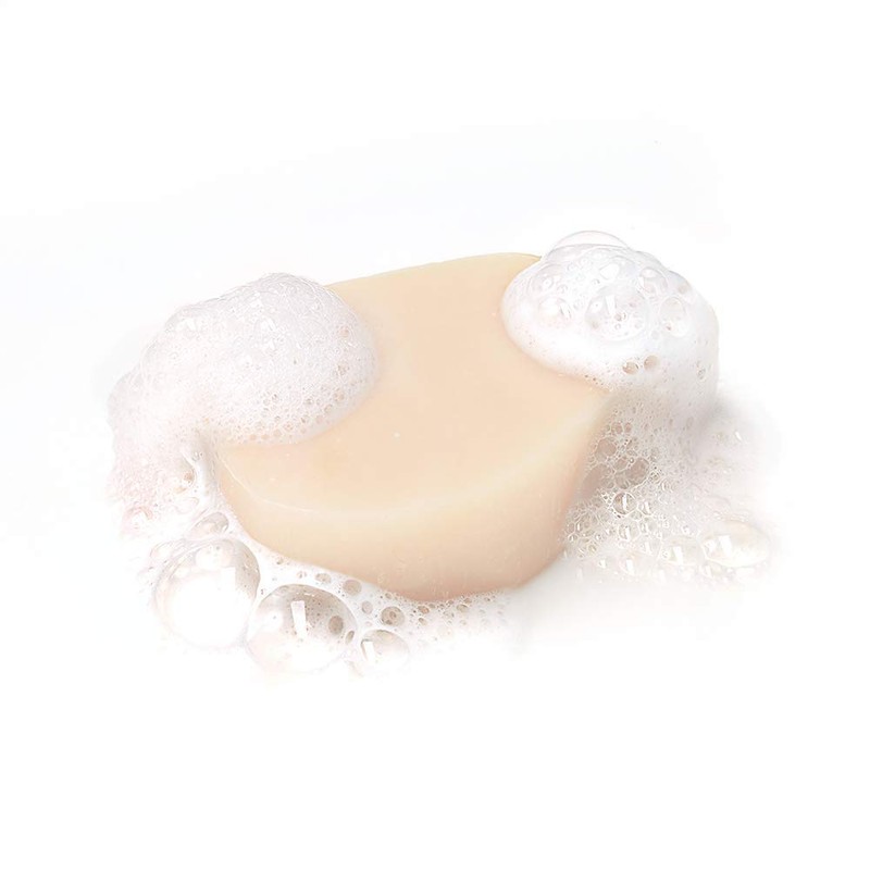 Garnier True Treasures Solid Shampoo Invigorating Ginger with Organic Ginger,