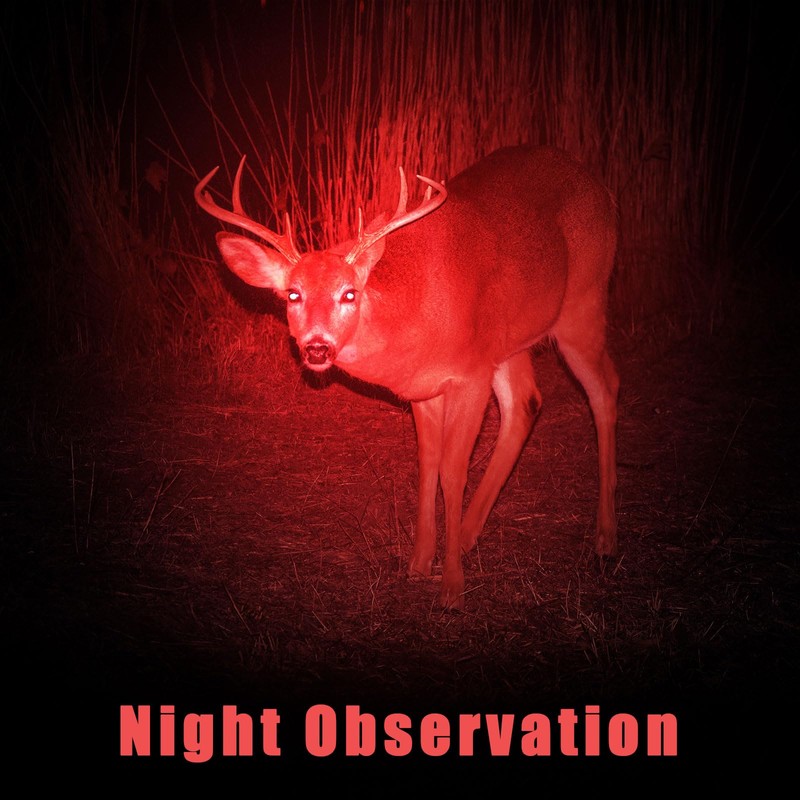 Honoson 3 Pieces Red Light Flashlight LED Single Mode Torch