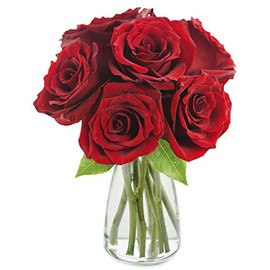 KaBloom PRIME NEXT DAY DELIVERY - Fall Collection - Romantic Red Rose Bouquet: 6 Fresh Cut Red Roses with Vase.Gift for Birthday, Get Well, Thank You, Valentine, Mother’s Day Fresh Flowers