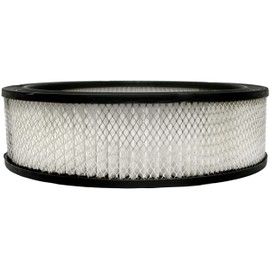 ACDelco GM Original Equipment A348C Air Filter