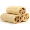 Natural Loofah Exfoliating Bath Sponge by Spa Destinations® (3 Pack