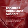 Proper, The Purples Nutrient-Dense Superfood Powder - Antioxidant Supplement and