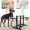 Elevated Dog Bowls Stand Large Breed Metal Raised Dog Bowls