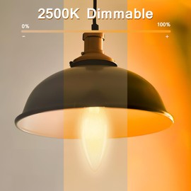 Brtstiun E12 6O Watt Incandescent Candle Light Bulbs, Dimmable B10 Chandelier Light Bulbs Warm White 2500K 12 Pack Light Bulb Decorative Chandelier for Ceiling Fan, Pendants