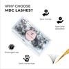MDC LASHES 500 Promades Eyelash Fans| 5D-20D, 0.03-0.05-0.07 Thickness, C/CC/D