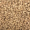 Almond Roasted & Salted (Available from 250 g to 2.5