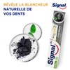 Signal Nature Elements Charcoal & Detox Toothpaste 75ml Tube
