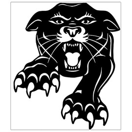 Biomar Labs® 1 x Vinyl Car Sticker Black Panther Window Motorhome Caravan Car Motorcycle B 89 Z*