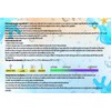 Medasa Bacteria Test Water Test for Pseudomonas Aeruginosa Bacteria Test