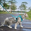 pangdi Cat Harness and Leash Escape Proof Extra Large Kitten