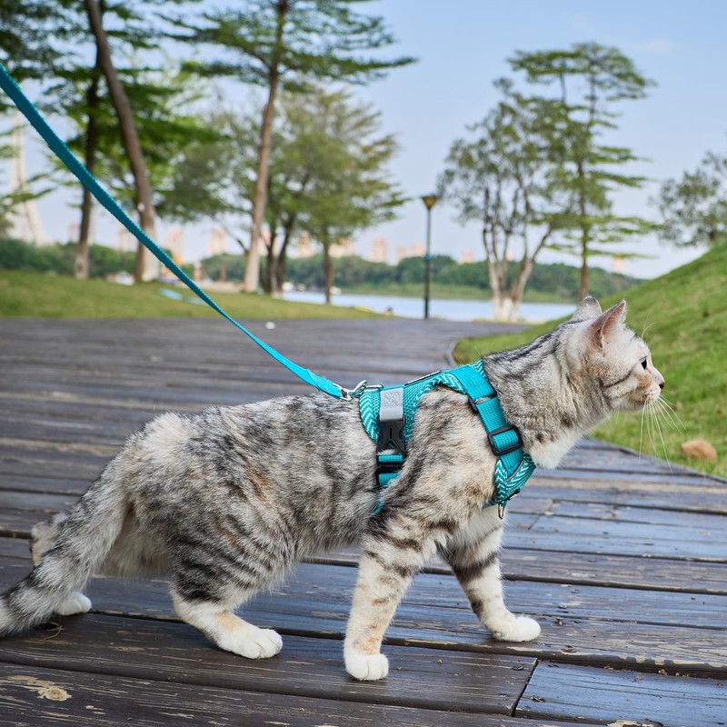 pangdi Cat Harness and Leash Escape Proof Extra Large Kitten