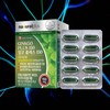 Ginkgo Plus Brain Concentration Ginkgo Leaf Extract Nutrition / 징코플러스