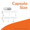 Now Optimal Digestive System Veg Capsules