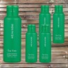 Papa Recipe Natural Ingredients Skin Tone Improvement Tea Tree Control Enzyme Powder Cleanser 5pcs 50g / 파파레서피 천연성분 피부톤개선 티트리 컨트롤 효소 파우더 클렌저 5개 50g