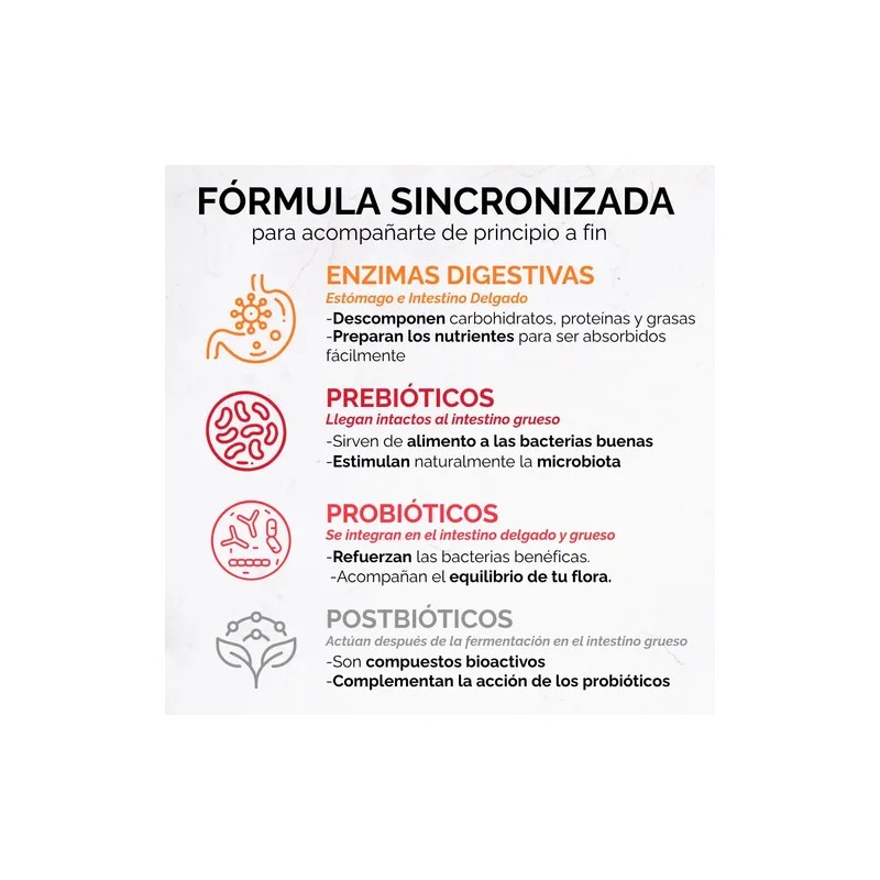 Enzimas Digestivas + Probioticos + Prebioticos + Postbioticos | Quadribioticos