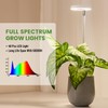LBW Grow Light for Indoor Plants, Height Adjustable Plant Grow