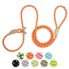 Durable Slip Lead Dog Leash for Training, Heavy-Duty 6 Ft