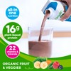 Orgain Organic Nutritional Vegan Protein Shake, Smooth Chocolate - 16g