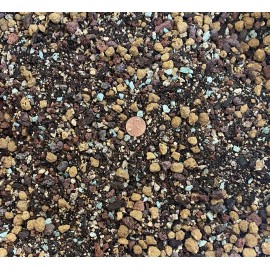 Cali-Bon Premium Mixed Akadama Cactus & Succulent Soil w/ Lava, Maifan & Zeolite - Medium - 1 quart