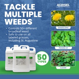 Agrisel 3 Way Max Weed Killer, Eliminate 50+ Weeds, Safe on Grass, Weed Spray, Pet Safe, Low Odor, Easy Mixing, Includes 3-Pack of Agrisel Protective Gloves, 320 Ounces
