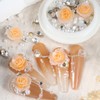 1 Box Champagne Rose Nail Art Charms Valentine's Day Resin