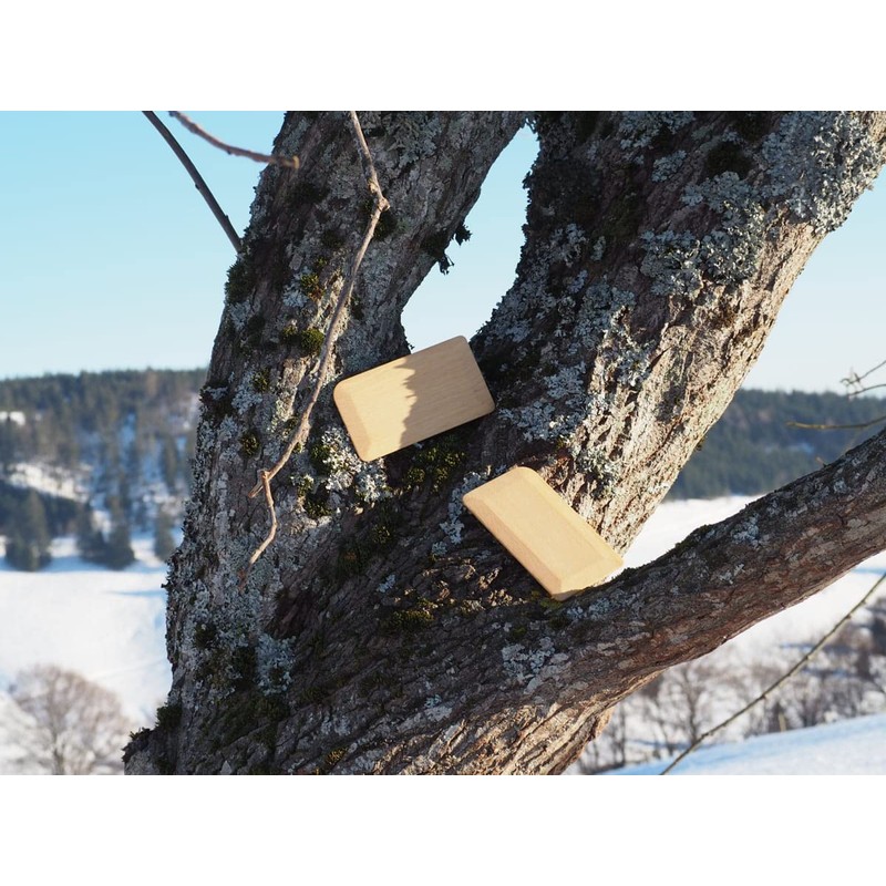 WALDKRAFT Beech Wood Windscreen Scraper (1)