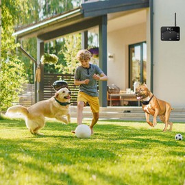 Wireless Dog Fence, Electric Fence for Dogs, Pet Containment System for Small Medium Large Dogs, Wireless Dog Fence System with Waterproof Collar Receiver, Black_2Collar