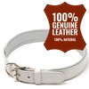 Logical Leather Padded Dog Collar - Best Full Grain Heavy