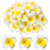 Crowye 120 Pcs Artificial Plumeria Flower Hawaiian White Foam Frangipani