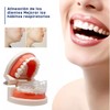 Protector Bucal Alineación Mandíbula Corrección Dental Anti Ronquidos Moldeable Con