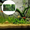 FUWQWKUI Aquarium Background Sticker Rainforest Pattern PVC Self Adhesive for