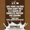Silk Chocolate Soymilk 8 Fl Oz Pack of 18 Dairy