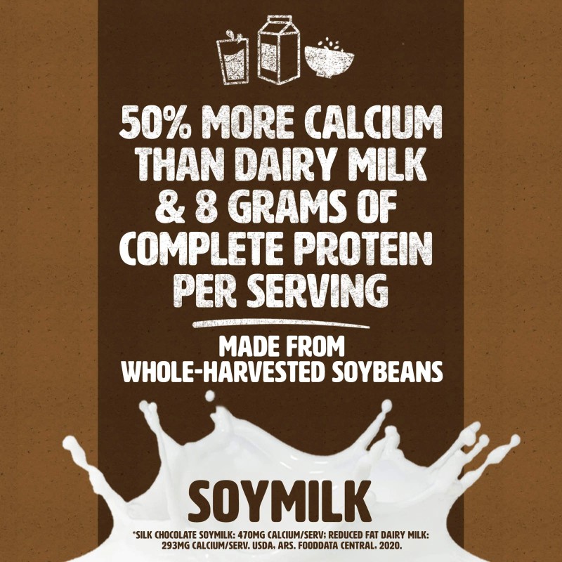Silk Chocolate Soymilk 8 Fl Oz Pack of 18 Dairy