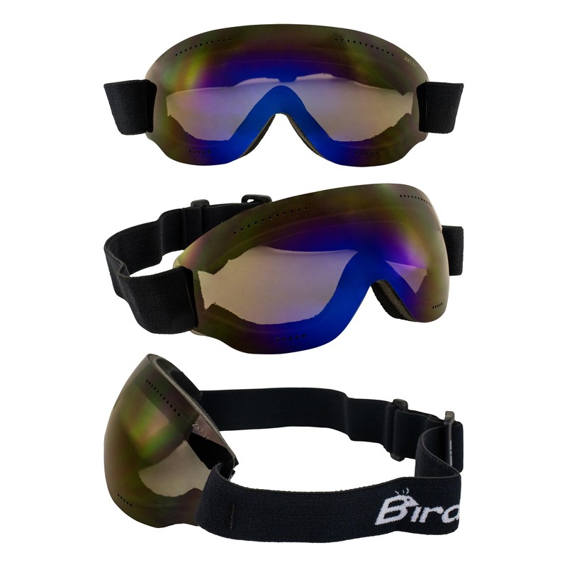Birdz Eyewear Thrush Sport Snowboarding Skydiving Motorcycle Riding Goggles w/Blue