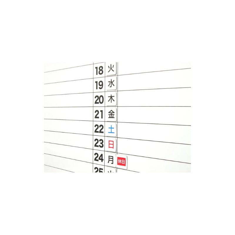 Sancake Com Magnetic Sheet Weekday Large MS-06
