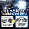 Sphere Light Fog Lamp Unit Kit Retrofit LED Fog L1B