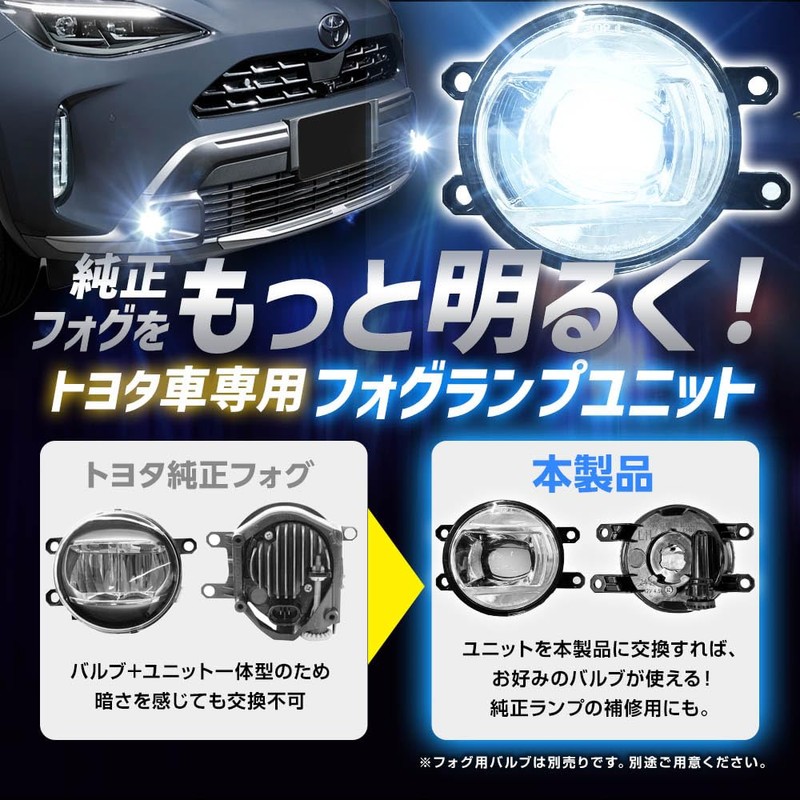 Sphere Light Fog Lamp Unit Kit Retrofit LED Fog L1B