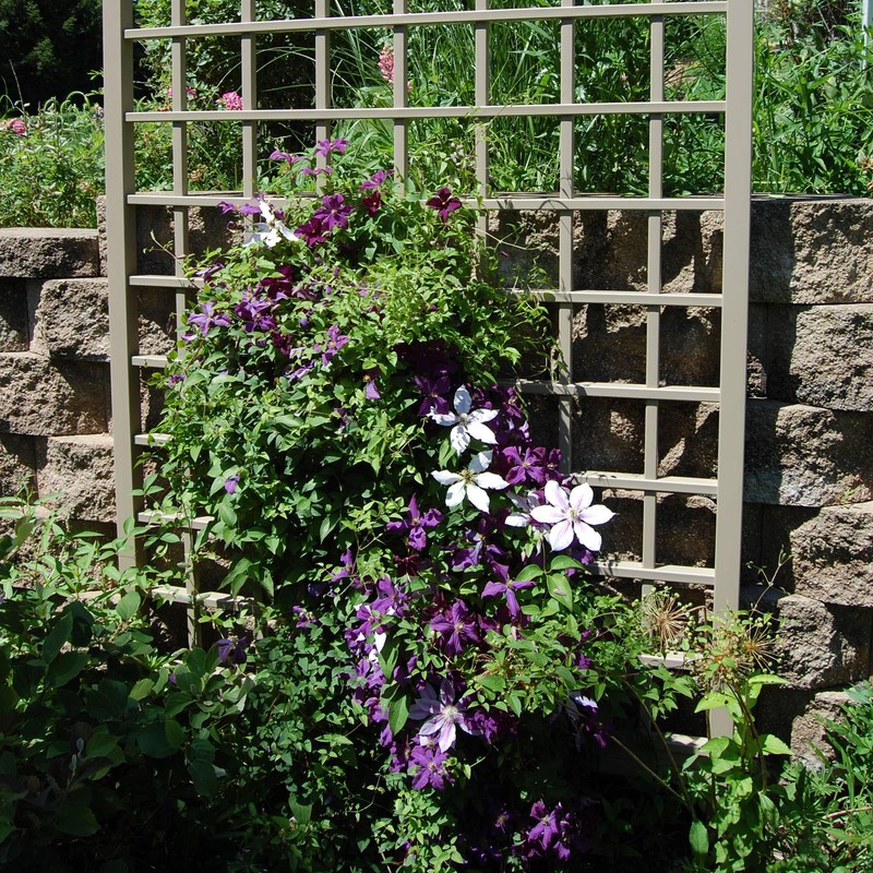 Dura-Trel Winchester 57 x 95 Inch PVC Vinyl Outdoor Garden