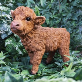 Vivid Arts - Highland Cattle Calf - PP-HLCF-F