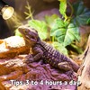 REPTI HOME Reptile Heat Lamp, UVA UVB Heat Lamp Bulbs,
