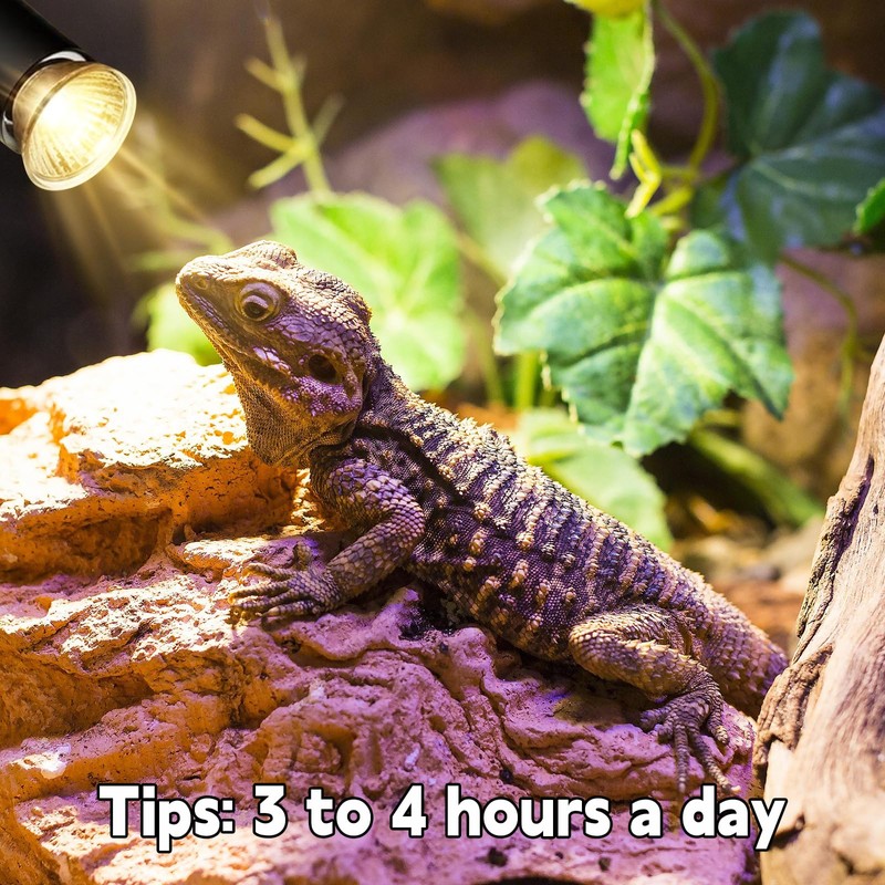 REPTI HOME Reptile Heat Lamp, UVA UVB Heat Lamp Bulbs,