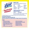 Professional LYSOL Brand Disinfectant Deodorizing Cleaner Concentrate, 1 gal Bottle,