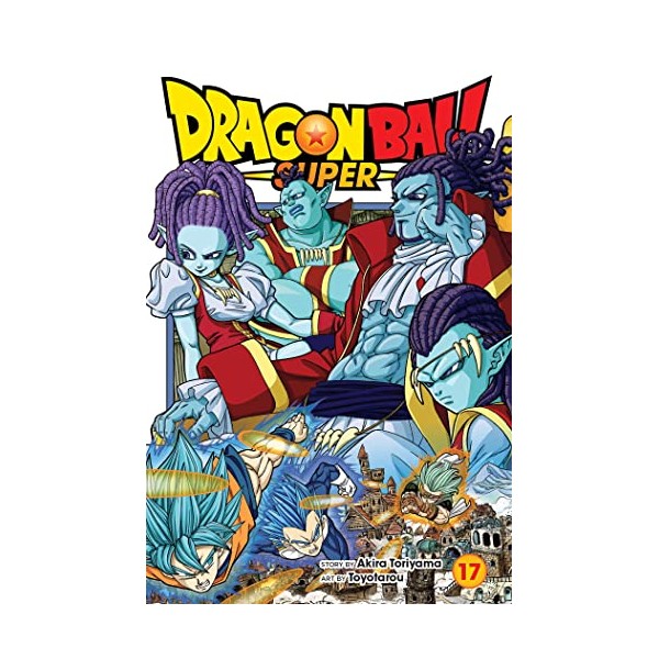 Dragon Ball Super, Vol. 17 (17)