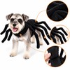 Halloween Spider Pet Costume for Cats & Dogs – Funny