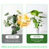 3 Sets Plant Stem Support Holder,Plants Climber Support Accessories,Climbing Vines