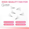 GLAMOREYELASH 500 Promade Fans Loose Paper Box, Natural Eyelash Extension