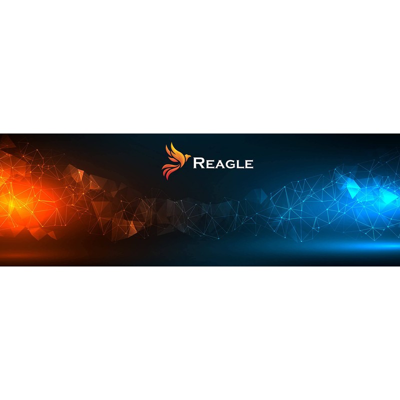 Reagle 7-in-1 USB-C Hub with 100W Power Delivery, 4K HDMI