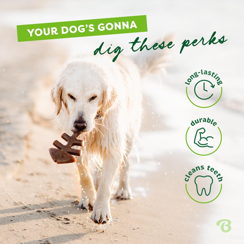 Benebone Benebone Fishbone Durable Dog Chew Toy for Aggressive Chewers,