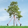 MASTER MARK Tree Staking Kit